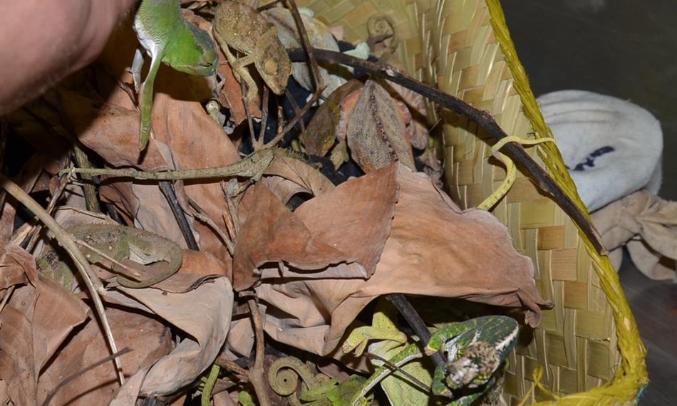 2016-6-3-137foto 7.jpg